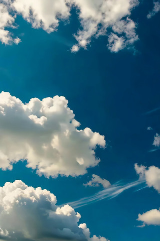 �������������վ�ɫ