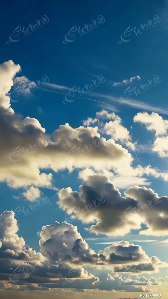 �������������վ���