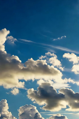 �������������վ���