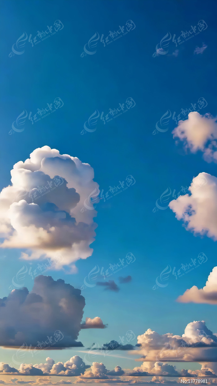 �������������վ���