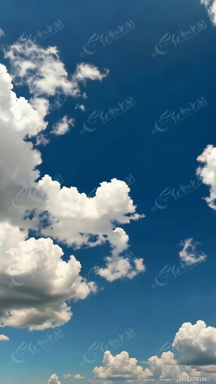 �������������վ���