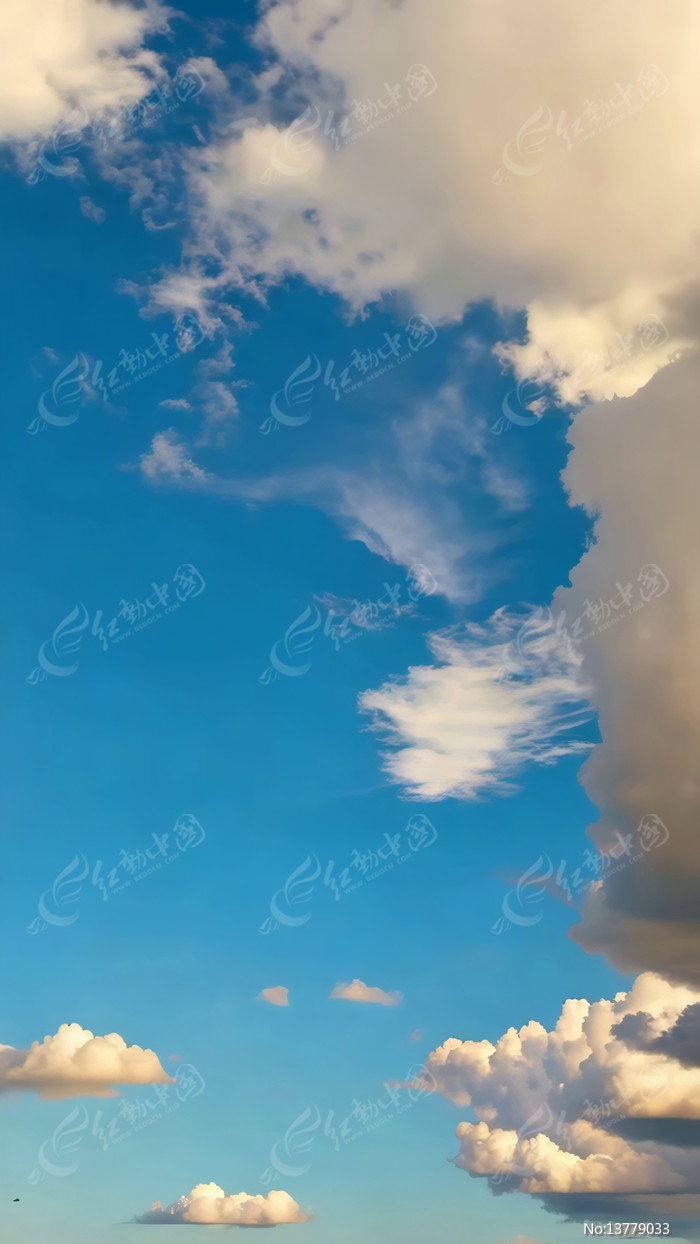 ���������վ���