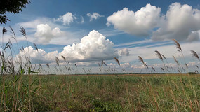 ��������µĲݵط��