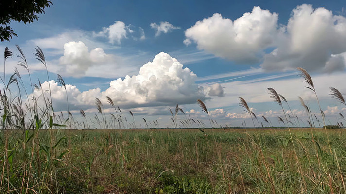 蓝天白云下的草地风光 蓝天白云下的草地风光
