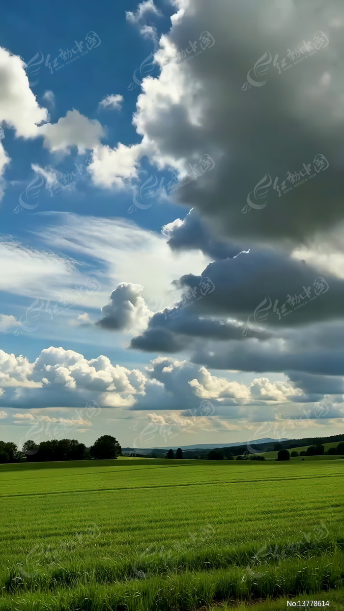 ��������µ���ɫ��Ұ���