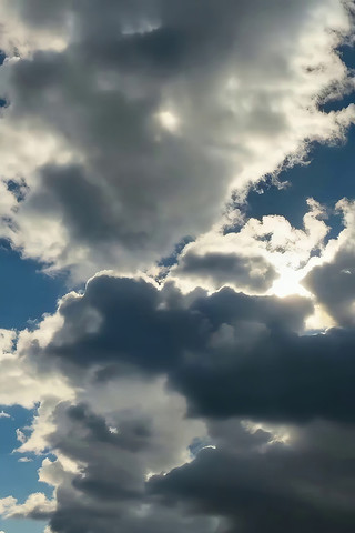 ��������ƶ侰��