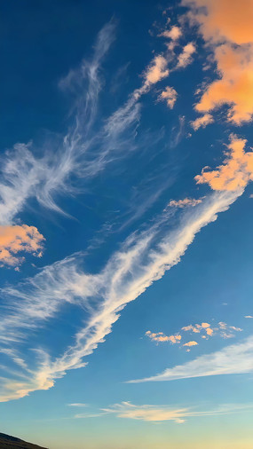 ���������Ȼ���