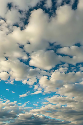 ���������Ȼ���