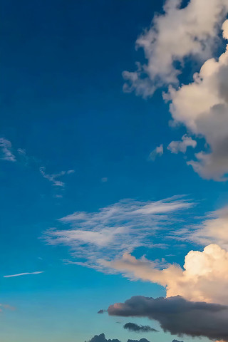 ���������Ȼ���