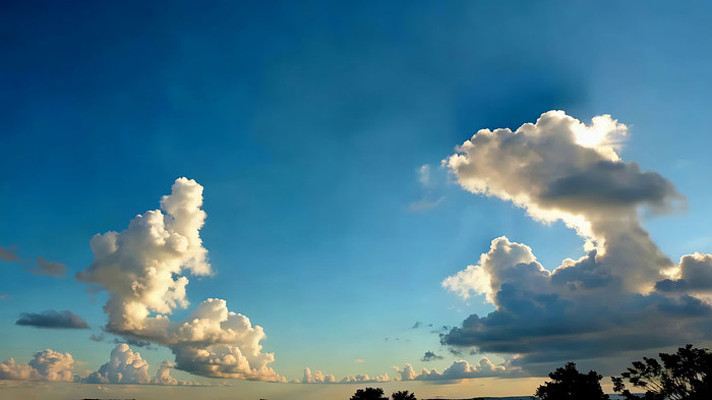 ���������Ȼ��⻭��