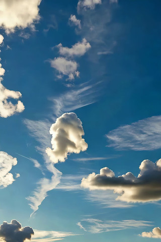 ���������Ȼ����ز�