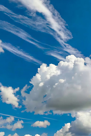 ���������Ȼ����ز�