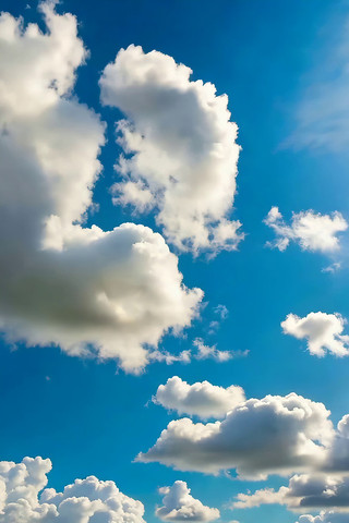 ���������Ȼ����ز�