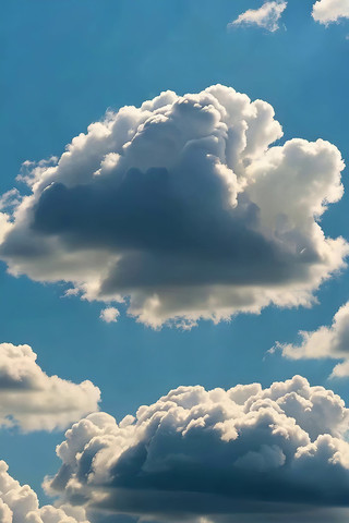 ���������Ȼ����