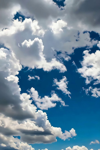 ���������Ȼ�����ز�