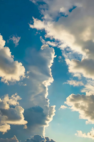 ���������Ȼ��վ���