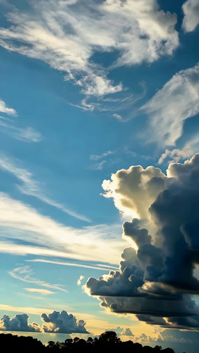 ���������Ȼ��վ���