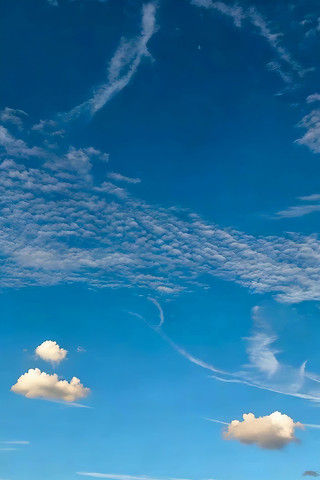 ���������Ȼ��վ���