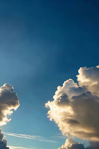 ���������Ȼ��վ���