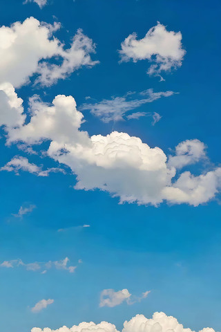 ���������Ȼ��վ���