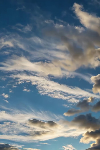 ���������Ȼ��վ���