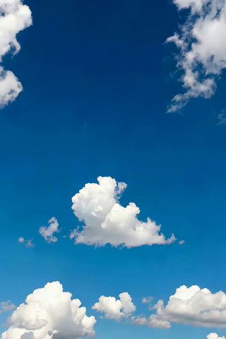 ���������Ȼ����ز�