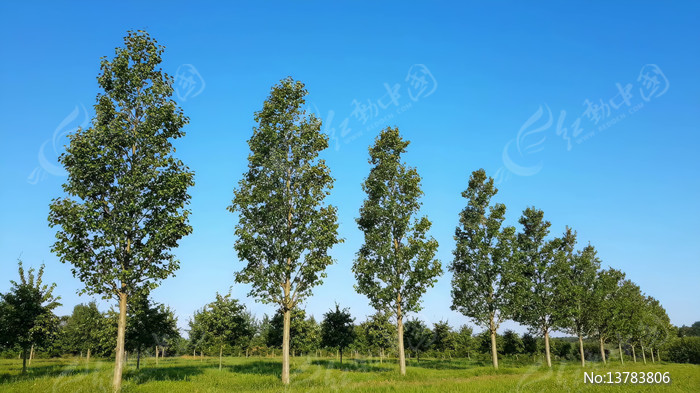 �����̵ؼ������ľ