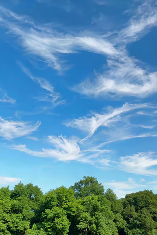 蓝天绿树自然风光 蓝天绿树自然风光