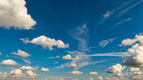 ����Ʈ���İ��ƾ�ɫ