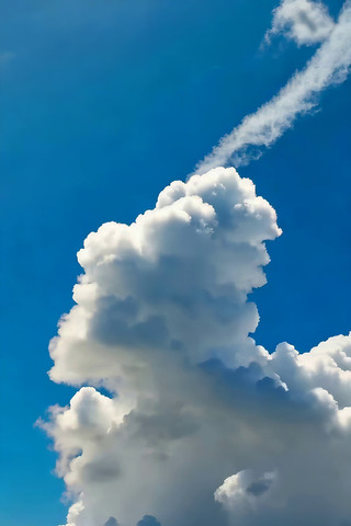 ���������ɰ��ƾ���