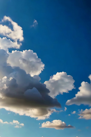 ���������ɰ��ƾ���