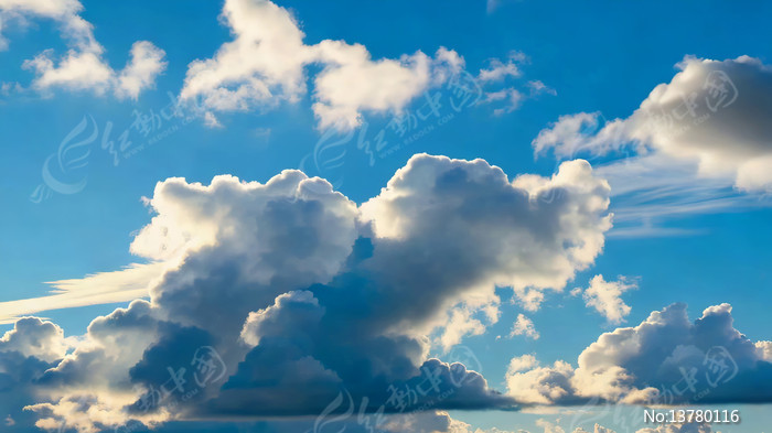 ���������ɰ��ƾ���