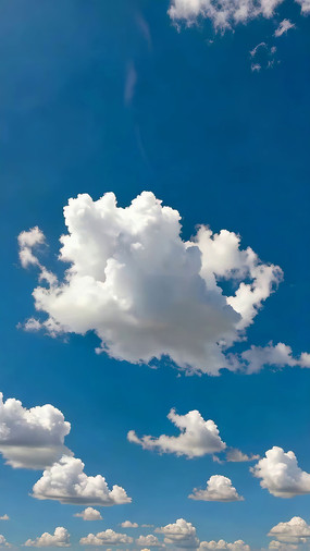 ������Ʈ���İ���