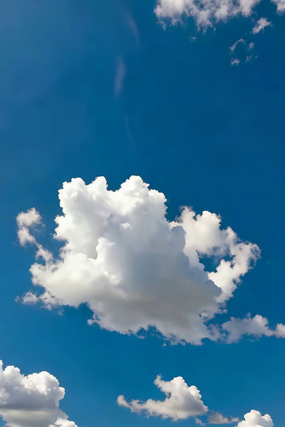 ������Ʈ���İ���