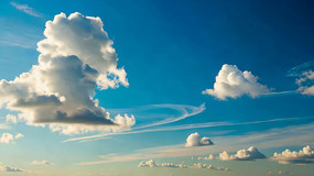 ������Ư���İ��ƾ���