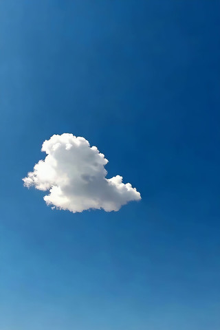 ������Ư���İ����ز�