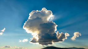 ������Ư���Ĵ�����