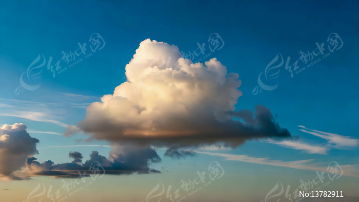 ������Ư���������ƶ�