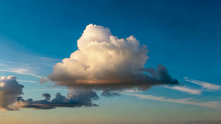 ������Ư���������ƶ�