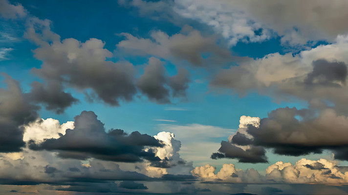 ��������̬������ƶ�