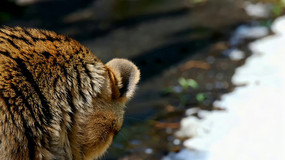 �ϻ��ֲ���д�ز�