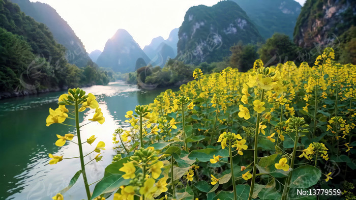 �콭��ʢ�����Ͳ˻���Ȼ���