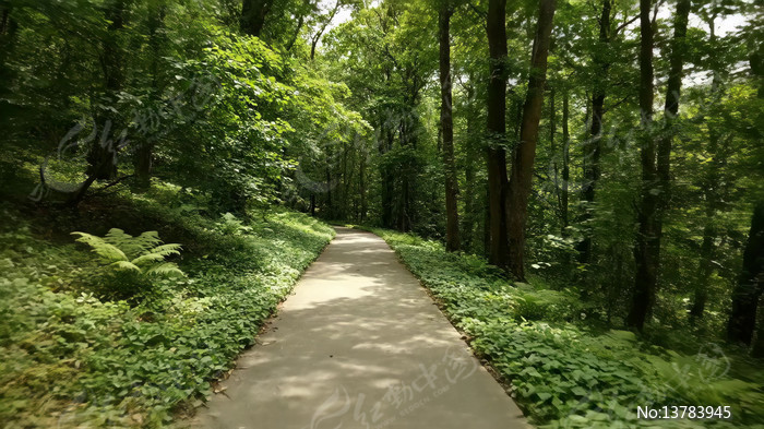 �ּ�����С����Ȼ���