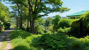 �ּ�С���Ե���ɫС��