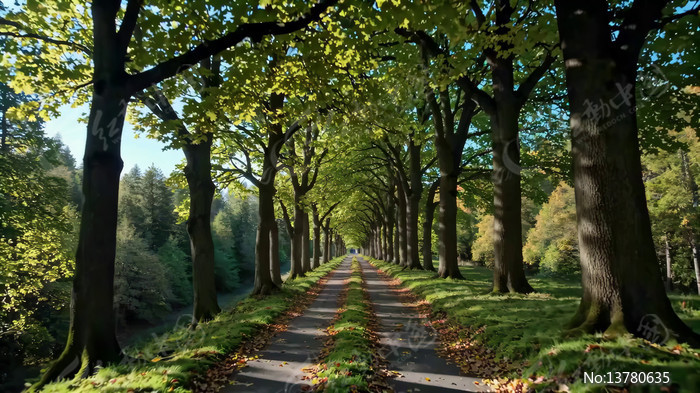 �ּ�С������������������