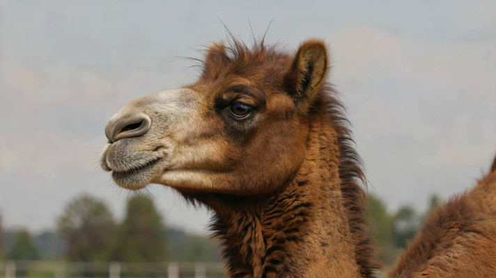 ���ս�����д