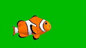 ��ĻС������Ƶ�ز�