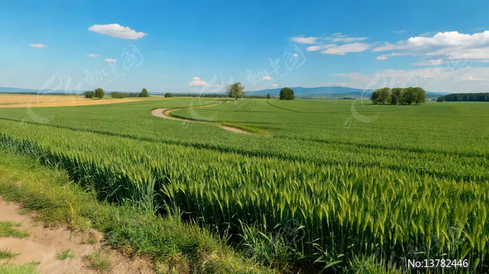 ��ɫ���������С·����