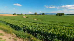 ��ɫ���������С·����