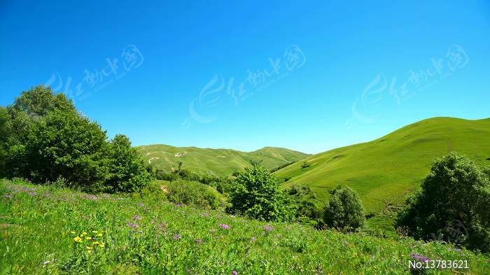 ���ⰻȻ�Ĳ�ԭ��Ȼ���